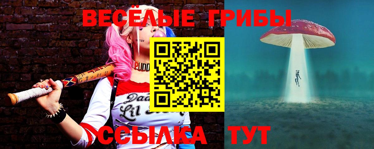 Галлюциногенные грибы Psilocybine cubensis Кизляр