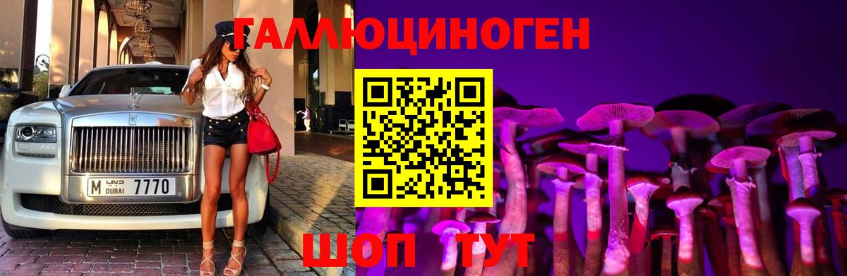 Кизляр  Галлюциногенные грибы прущие грибы  Вход с VPN 
